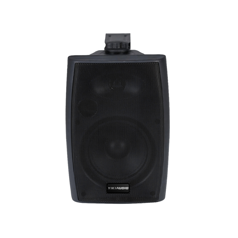Wall Speaker-1